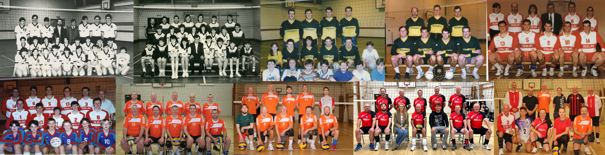 web team header